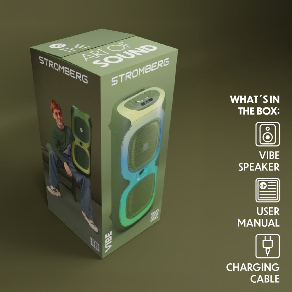 Stromberg Vibe 2 dual mic inputs and aux connections